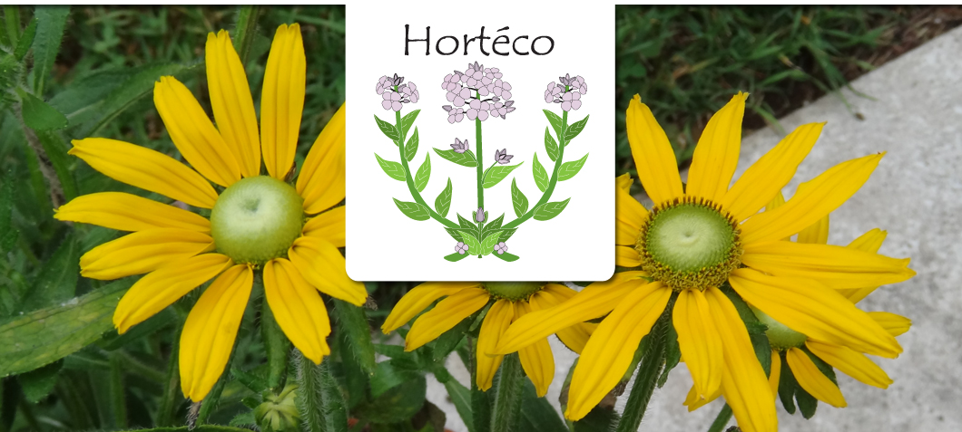 horteco-sainte-julienne-004